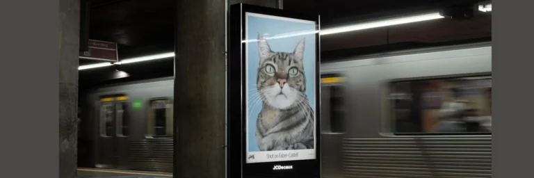 faber caster shot on