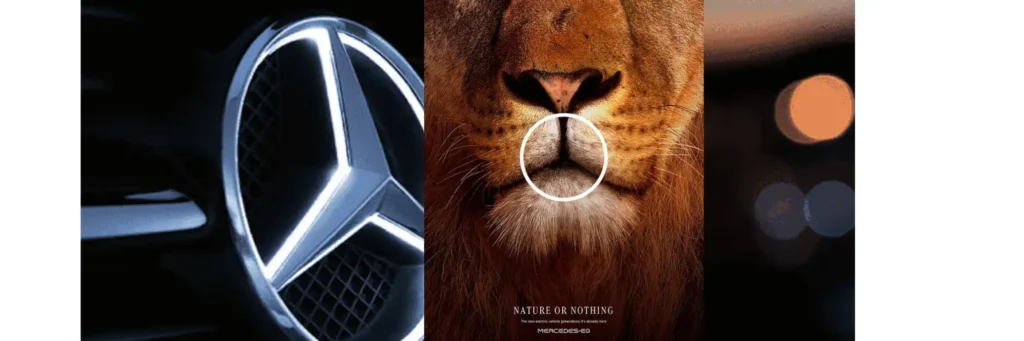 mercedes nature or nothing