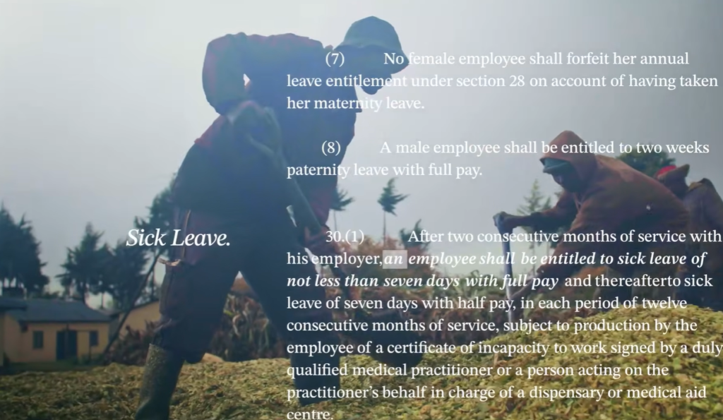 Paid Leave to Sick Cows. Too Good Solved Kenya's Public Health Crisis 