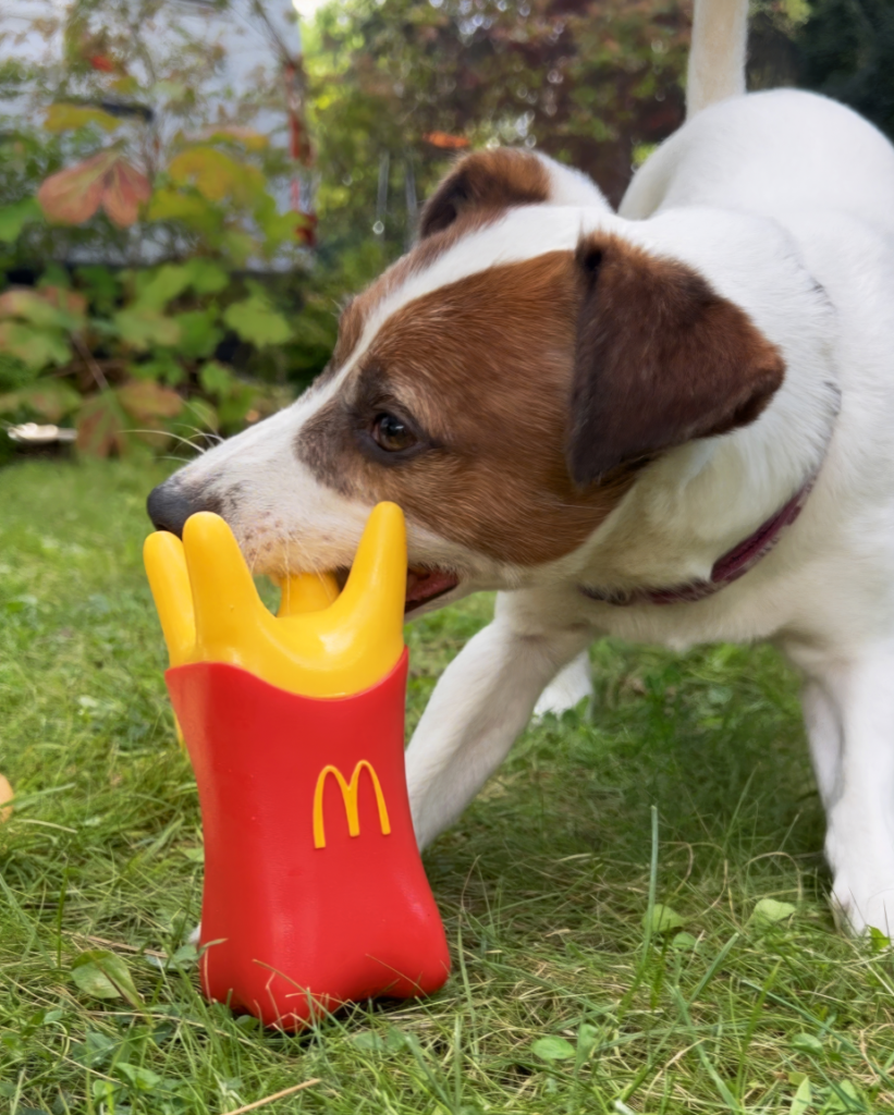 McDonald's France Made Its First Dog Toy Collection Because One in Three French People Own a Dog