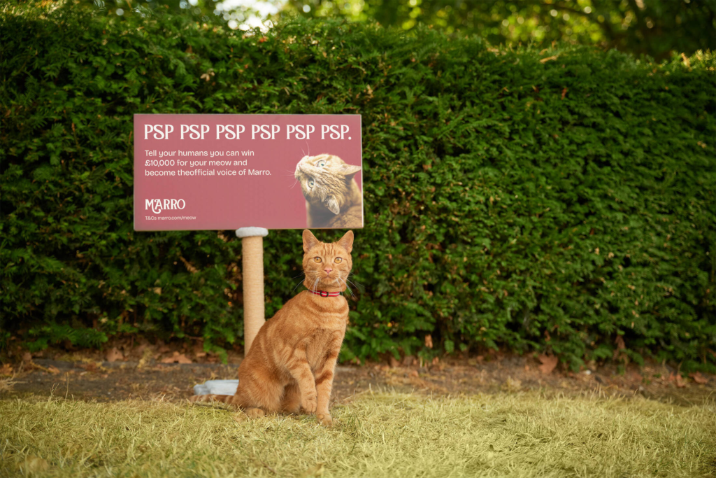 Marro Built Billboards for Cats. The Cats Scratch Them. The Owners Read the Message and Enter the Competition.