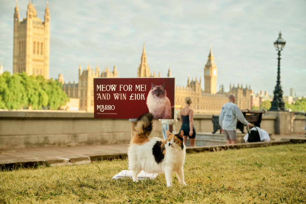 Marro Built Billboards for Cats. The Cats Scratch Them. The Owners Read the Message and Enter the Competition.