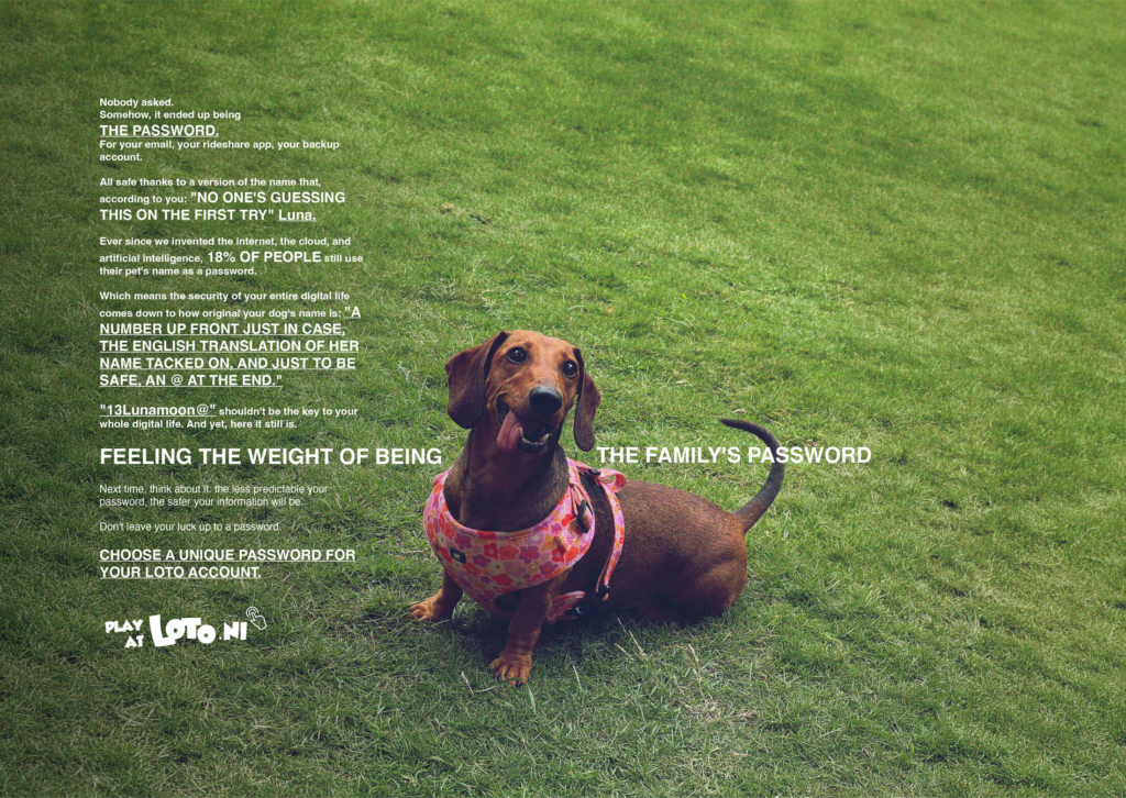 Loto Nicaragua's Cybersecurity Campaign Was About the Password Everyone Is Already Using: Their Pet's Name